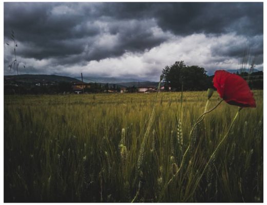 Aspetterò che l'estate mi inondi la vita