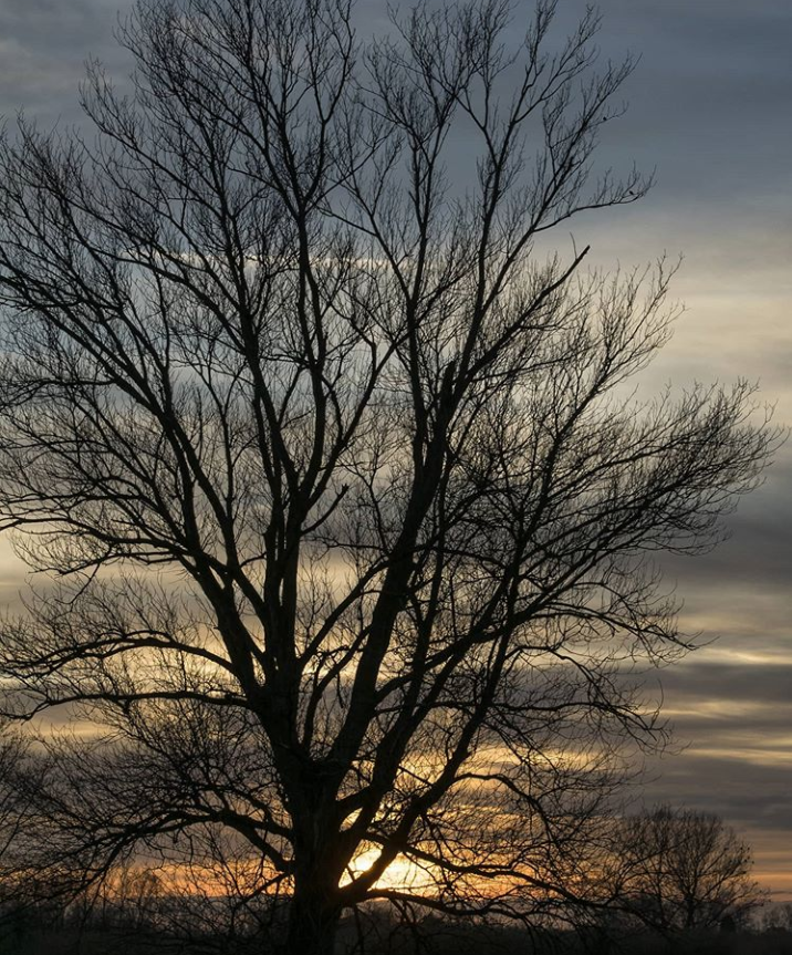 Maryguidi1_albero e abbracci